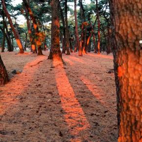 朝日はグロテスク…