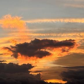 二転三転・高齢の母の状態