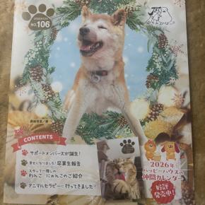 今日は愛犬を思い出す日