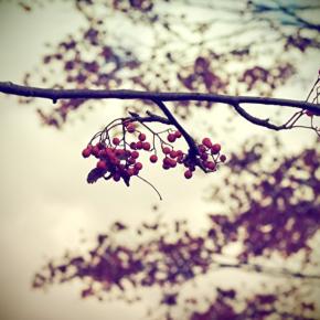 規約違反をするところだった