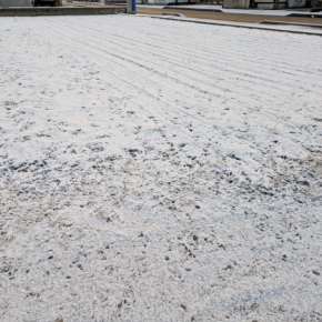 あっさりしたお正月。