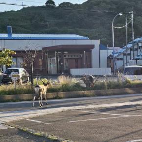2024夏の青春18きっぷの旅第3弾～北海道の旅～Part10／令和6年9月8日