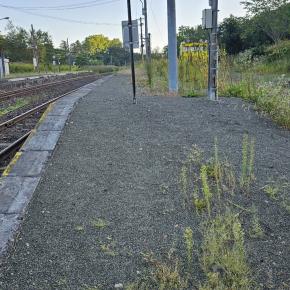 JR北海道宗谷本線佐久駅訪問Part2／令和6年9月9日訪問