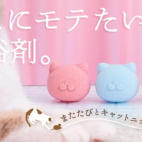 魔法の入浴剤？！【ネコモテバスボール】で、いつも逃げるうちのニャンずたちも思わず・・・？