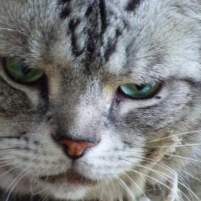 宇宙-sora-物語 宇宙-sora-が生きた日々の記憶12 おかーちゃんに怒られた日