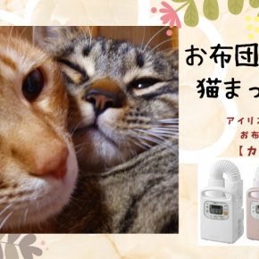 アイリスオーヤマ【カラリエ】：冬の必需品！寝る前の数十分でお布団ほかほか：猫まっしぐら