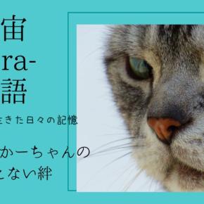 宇宙-sora-物語 宇宙-sora-が生きた日々の記憶18 ボクとおかーちゃんの消えない「絆（きずな）」