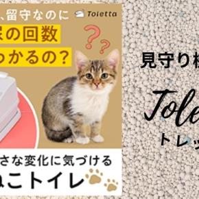 【トレッタ】尿の病気を素早く察知！猫様の健康管理に下僕が出来ること