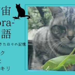 宇宙-sora-物語 宇宙-sora-が生きた日々の記憶【ボクとカヤキリ】