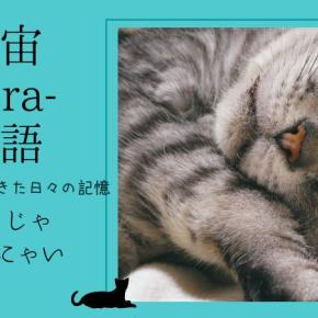 宇宙-sora-物語 宇宙-sora-が生きた日々の記憶【ひとりじゃねられニャィ】