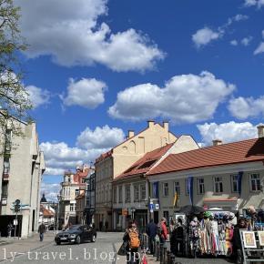 リトアニア旅行記21 ツェペリナイを食べてゲディミナスの丘から世界遺産のヴィリニュス旧市街を眺める