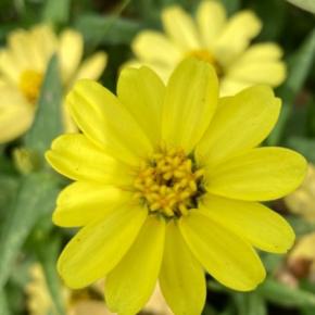 【猫ちゃんが我が家にやってきた🐈‍⬛】