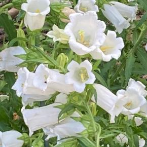 【『愛嬌』と『愛想』は社会人に必要なスキル】