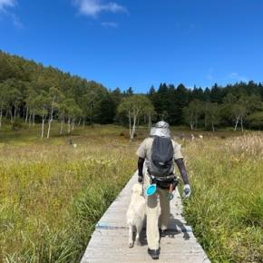 2025年9月の八ヶ岳・蓼科旅行⑥愛犬と一緒に入笠山トレッキングを楽しむ