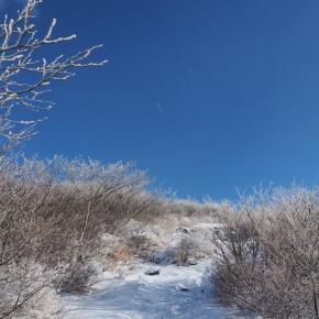 2024年の登り初め