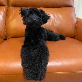 回さずにいられなかったガチャ