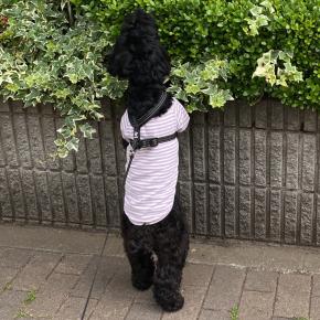 何かがたくさん潜んでます