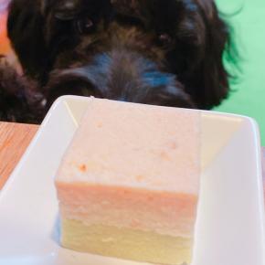 手作り犬ごはん〜その後