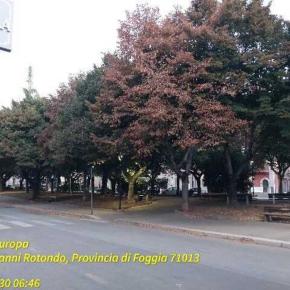 Day16 サンジオバンニ ロトンドからローマに戻りました。アゴダマジックにやられました🥵