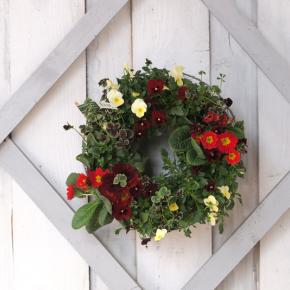 サンガーデン 2025春