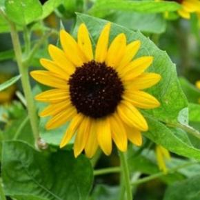 0805★借金の歴史: 5,000年間の負債と権力の関係。リチャード・ヴェルナー「円の支配者」/ ロシアゲートデマがソロスと関連。水増し不正統計。メディア統制と世論操作の構造的手法 / 誤り暴露！COVID-19ワクチンによって救われた命は0（またはそれ以下）/ 参政党のSNSでの戦略を解析★SNS戦略をプロの工作員に外注？★「外国」勢力の介入とは？ / 中国広東省でチクングニア熱の流行が拡大し続ける中、PCR検査が開始され、ロックダウンの懸念が広がる / 彼らによって故意に作られる不安や恐怖に囚われず「この世を楽しく生きる事」が彼らが最も嫌う事😍