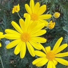 1102★山上被告の裁判の結果を問わず、アベノミクスの犯罪性を追及せよ / 本当のこの国はゾンビと戦うより、ゾンビになった方が楽な、まともな精神を保つの難しい国よな / 現代史上最大の集団被害事件？ワクチンは自閉症を引き起こす可能性があり、実際に引き起こす / 英国の病院が「あまりの病人の多さ」に対応が困難に。ブリストルでは複数の病院が医療上の重大インシデントを宣言 / オーストラリアとニュージーランドの科学者たちは、遺伝子工学とウイルスを使ってげっ歯類を不妊にし、「害虫駆除」を試みている / 異常なまでのクマ出没と人への被害 観て欲しいクマに関する動画 /【速報】今までの常識は通用しない！？これから道路交通法が一気に変わる！知らなきゃ一発免停も！😍