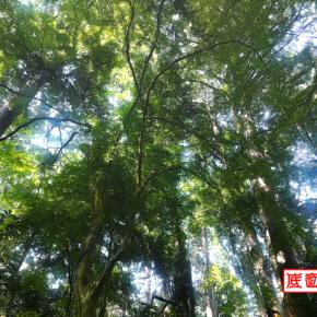 第1678号 今年の目標を考える2026