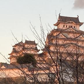 ハーレーぶらり 2024年秋-姫路城- 姫路〜宮津