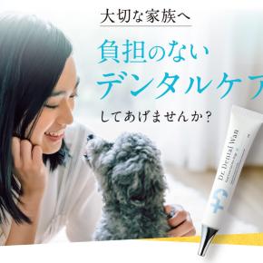 犬の歯のお手入れは寿命を延ばす健康対策