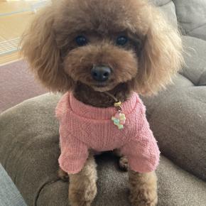 ワンパンつくねバーグ。トリミング。大掃除