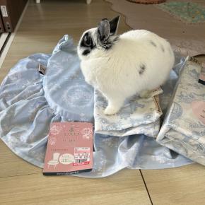 しまみさとしまみさニナス購入品(しめちゃんが検品してくれた)