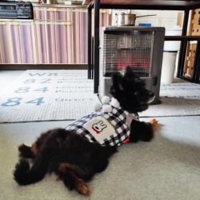 恐れていた事が起きた。