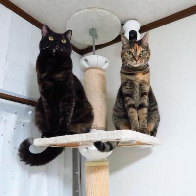 仲良く・・・（´･∀･`）