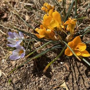 グルメ定期便はイマイチだなぁ