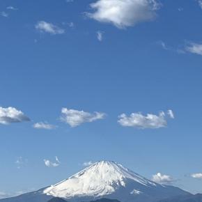 米の「たばこニコチン9割カット案」、高配当たばこ企業の配当がヤバくなるか考えてみた 『ブリティッシュ・アメリカン・タバコ【BTI】』