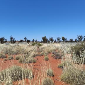 アボリジニも石油大好きだって現地で確認 仮想通貨は知らんけど