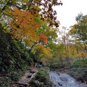 『FIRE』して51ヶ月経過 行け行けインフレ！おかげで配当も為替も住宅ローン金利も⋯