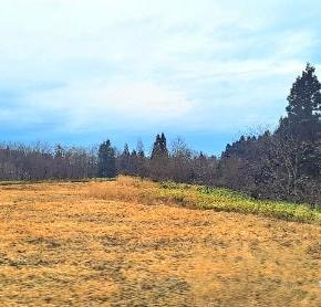 サンタはいるのかいないのか？