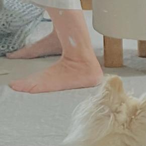 11月3日 午前11時 私の身体の一部がこの世界から消えてしまう