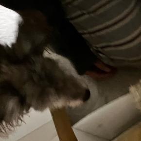 君の声が聞こえる ： おかえり～またね。 ①