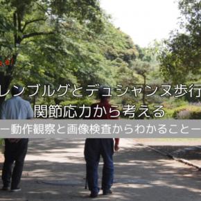 トレンデレンブルグとデュシャンヌ歩行の原因を関節応力から考える｜動作観察・画像検査からわかること