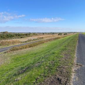 利根川河畔を散策 へたくそな写真をどうぞ