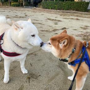 鼻チョンからのワンプロ