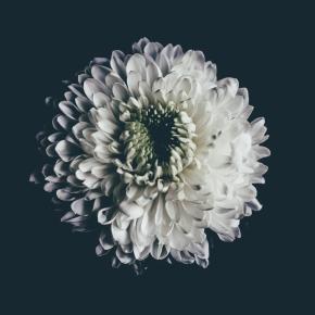 憧れの美容クリニックに転職したい方へ(*´ω`*) 採用面接で採用されやすいポイント・大切な事8選