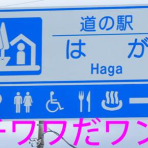 道の駅 はが