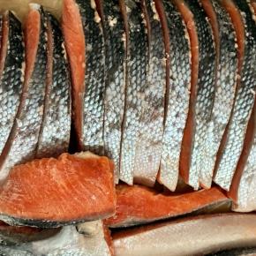 私が何度もリピしているシリーズ！お魚たち♡美味しいふるさと納税はコレ