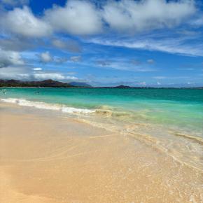 10月からESTA申請が値上げ $21→$40 代行申請サイトを使ってしまった友人