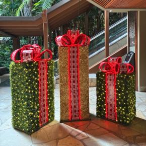 ⑧最終日 2511ハワイ