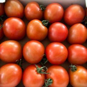 静岡のトマト レッドオーレ♡ふるさと納税