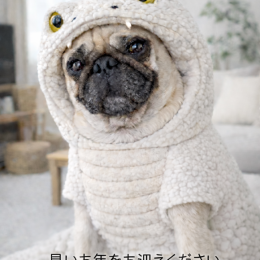 今年もありがとうございました〜